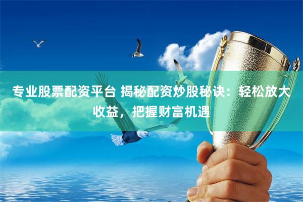 专业股票配资平台 揭秘配资炒股秘诀：轻松放大收益，把握财富机