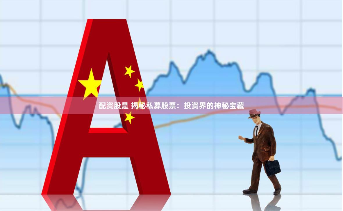 配资股是 揭秘私募股票：投资界的神秘宝藏